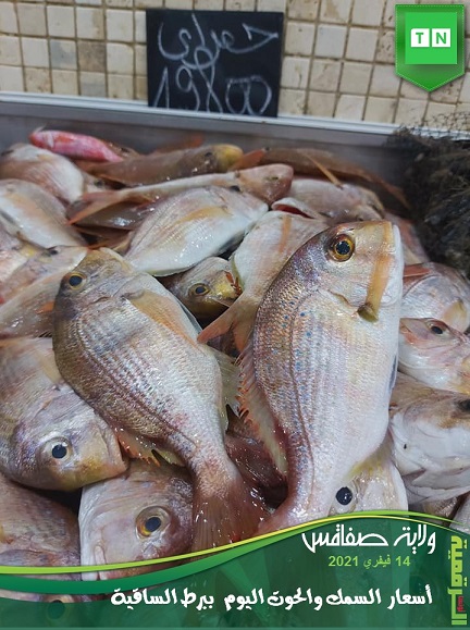 Tunisie En Images Les Prix Au March Du Poisson De Bab Jebli Sfax