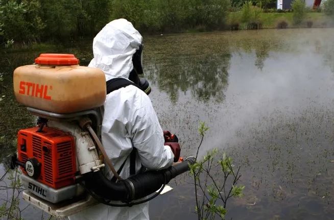 A Cause Des Changements Climatiques La Lutte Contre Les Moustiques Se