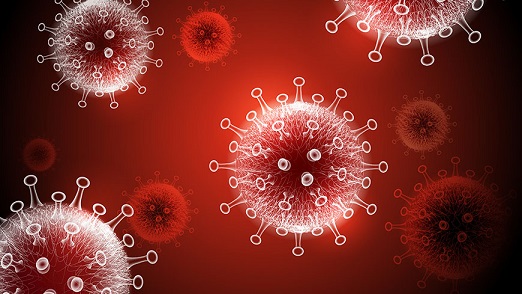 Coronavirus : 113 nouvelles contaminations à Nabeul