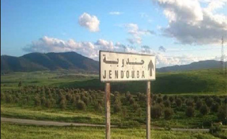 Jendouba: Les incendies ont causé des pertes matérielles de 12 MD en 2021