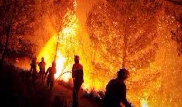 Siliana: L’incendie du mont Bargou totalement maîtrisé