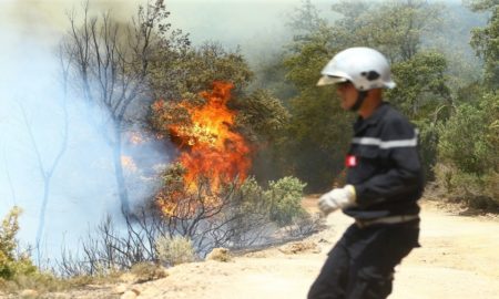 La Tunisie brûle : Kasserine : Trois départs de feu à Thala