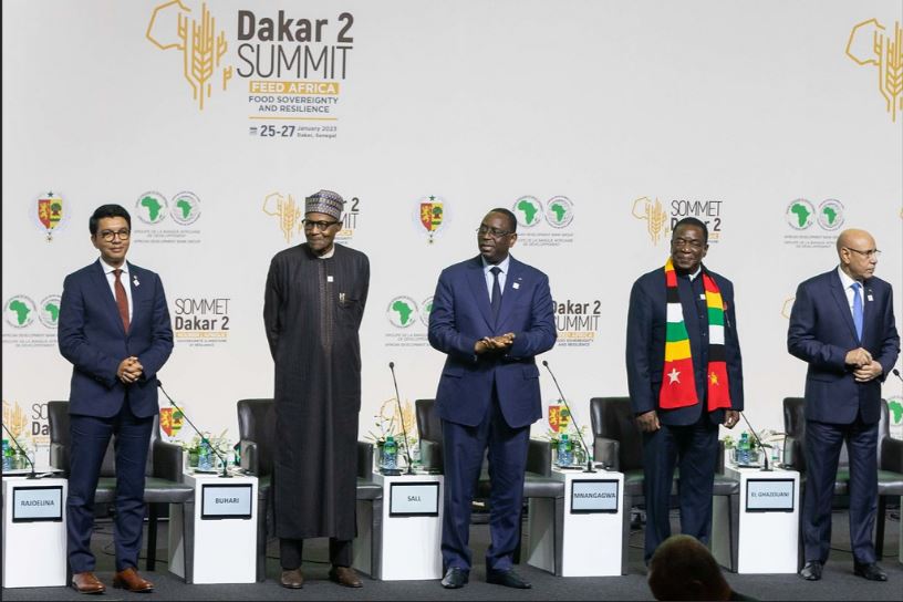 Sénégal : Le sursaut africain pour la souveraineté alimentaire, 10 milliards $ pour commencer