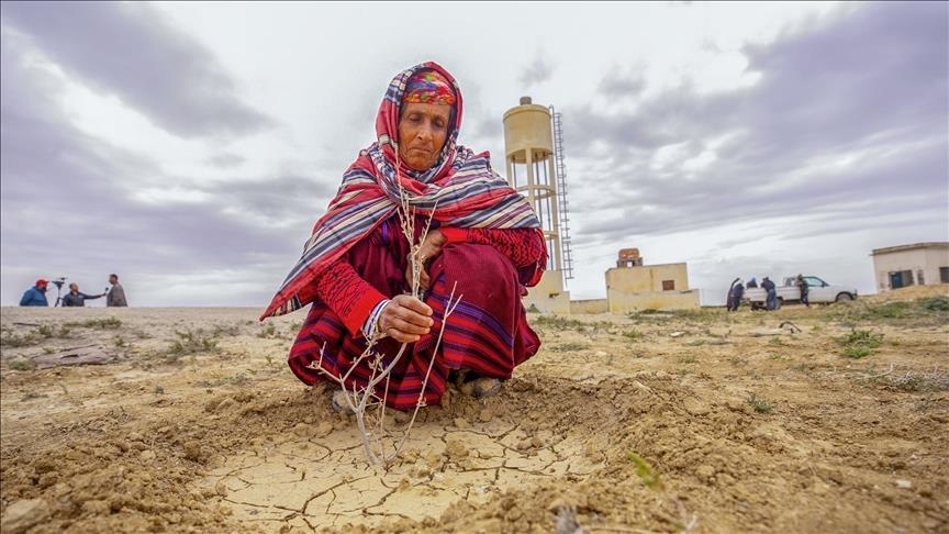 Tunisie-Barrages: Les réserves globales d’eau accusent une baisse de 30%