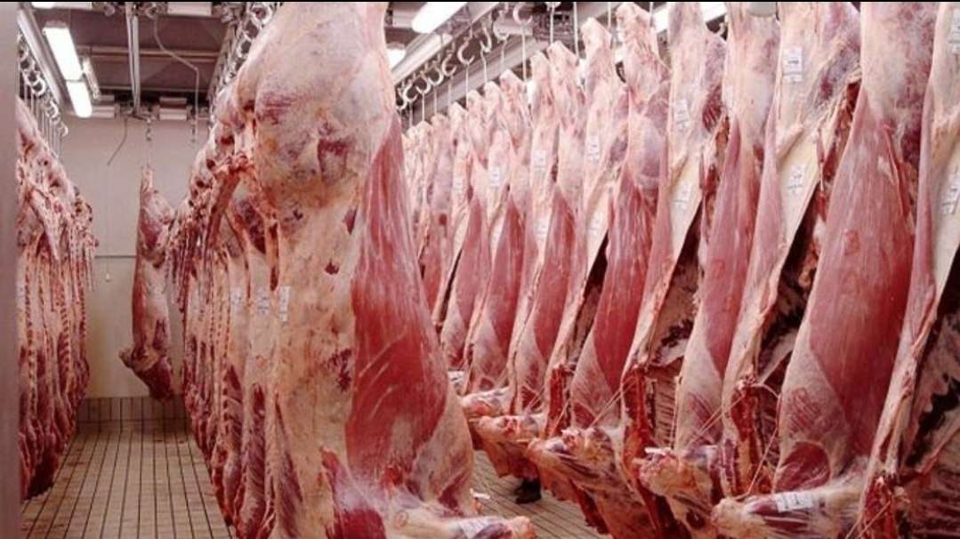 A la veille de l’Aïd Al-Adha, la consommation de viande rouge en Tunisie tend à la baisse