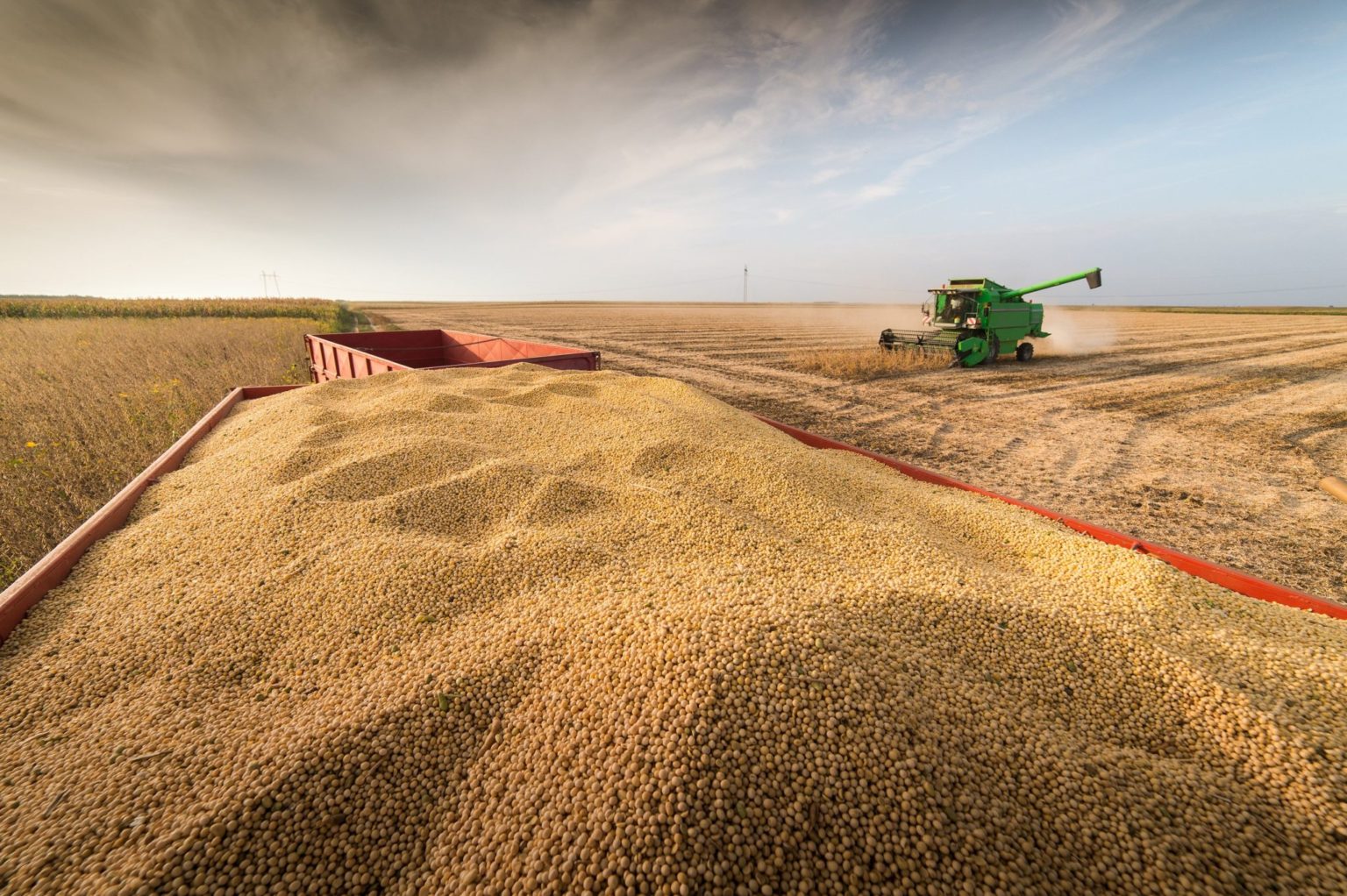 Algérie-Récolte de blé : Cette fois c’est la BBC qui réplique aux médias marocains (VIDEO)