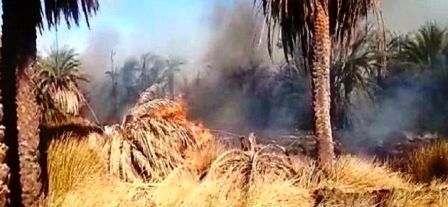 Tunisie – Un incendie ravage un hectare à l’oasis de Kebili